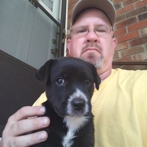 Meet your Posher, Jonathan